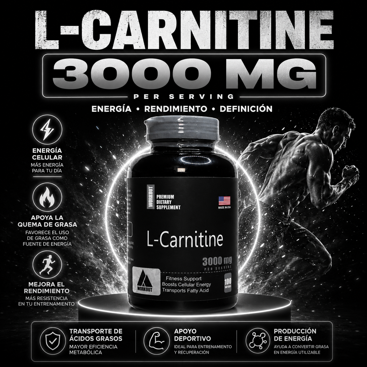 L carnitina