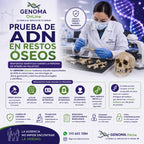 Pruebas de Paternidad